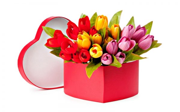 Heart-shape-gift-box-of-tulip-flowers